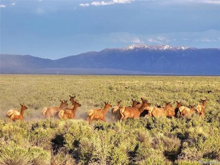 Hunting Land for sale in Alamosa County, Colorado