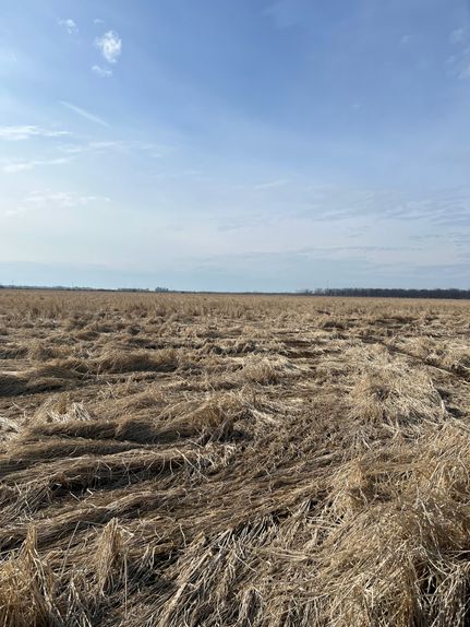 Farm Property for sale in Lonoke County, Arkansas