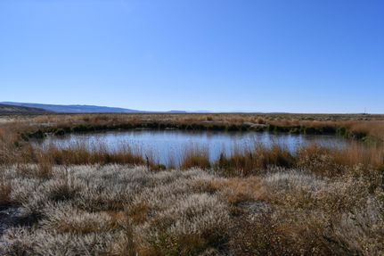 Property for sale in Harney County, Oregon