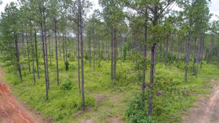 Ranch Property for sale in Elmore County, Alabama