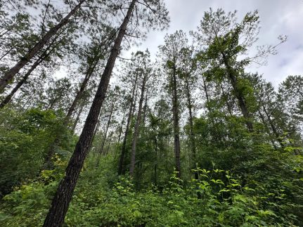 Ranch Property for sale in Elmore County, Alabama