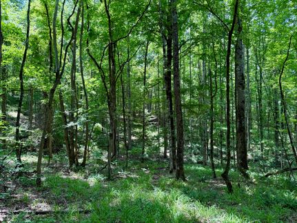 Residential Property for sale in Carroll County, Mississippi