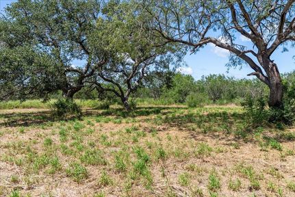 Undeveloped Land for sale in Bee County, Texas