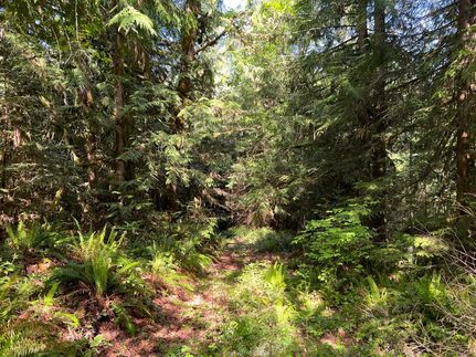 Farm Property in Lane County, Oregon