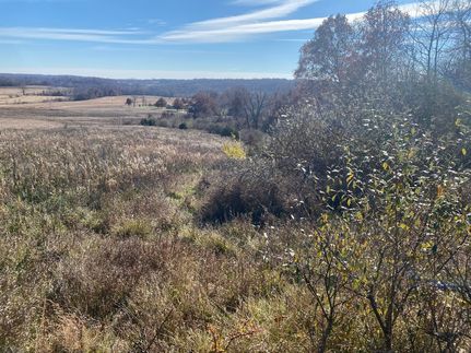Residential Property for sale in Brown County, Illinois