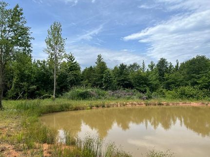 Hunting Land for sale in Pushmataha County, Oklahoma