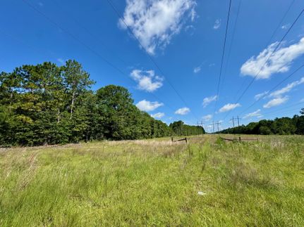 Hunting Land in Ben Hill County, Georgia