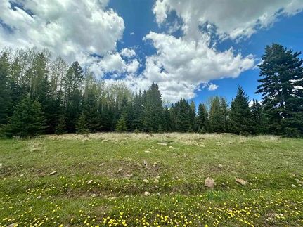 Property for sale in Colfax County, New Mexico