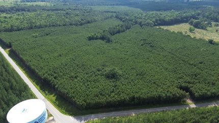 Farm Property for sale in Saluda County, South Carolina
