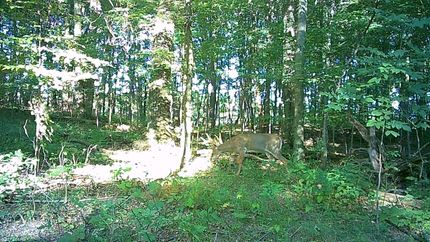 Farm Property for sale in Barry County, Michigan