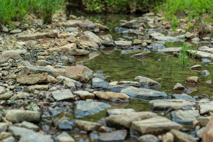 Residential Property for sale in Scott County, Arkansas