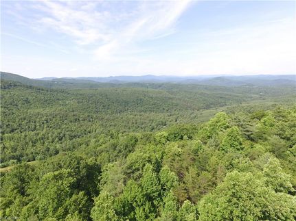 Undeveloped Land for sale in Wilkes County, North Carolina
