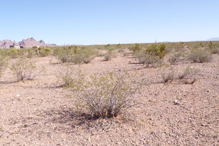 Ranch Property in Mohave County, Arizona