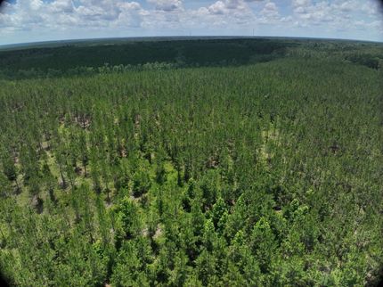 Residential Property for sale in Emanuel County, Georgia