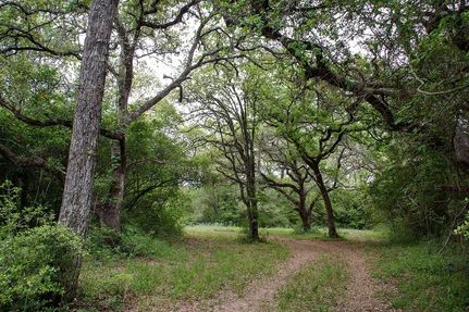 Ranch Property for sale in Colorado County, Texas