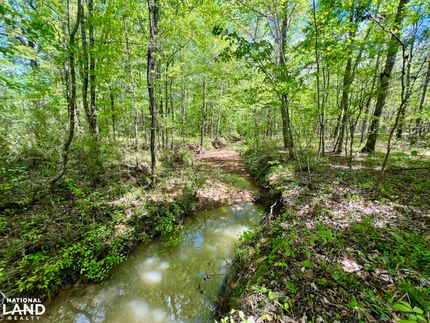 Farm Property in Marengo County, Alabama