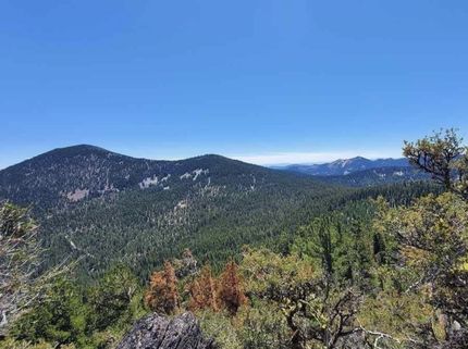 Farm Property for sale in Siskiyou County, California