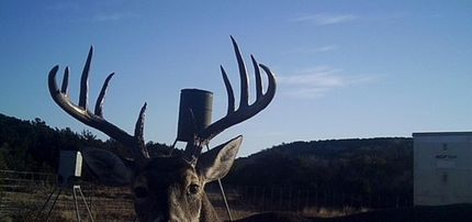 Farm Property for sale in Edwards County, Texas
