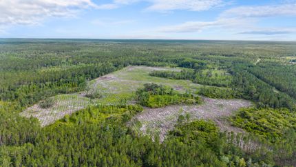 Farm Property for sale in Lafayette County, Florida