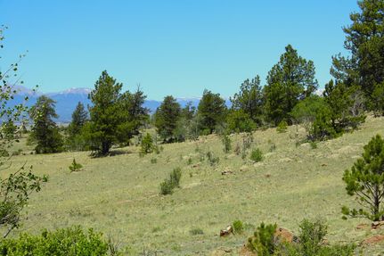 Property for sale in Park County, Colorado