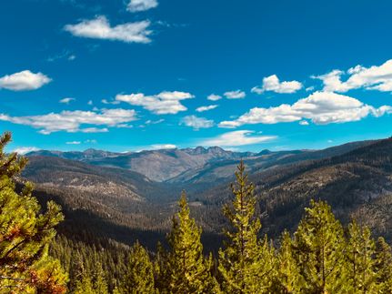 Ranch Property in Idaho County, Idaho