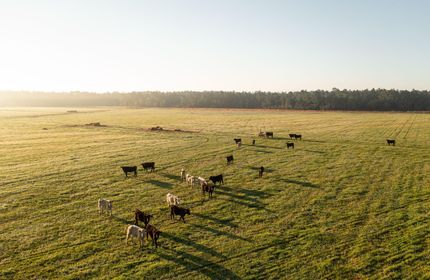 Property for sale in Baldwin County, Alabama