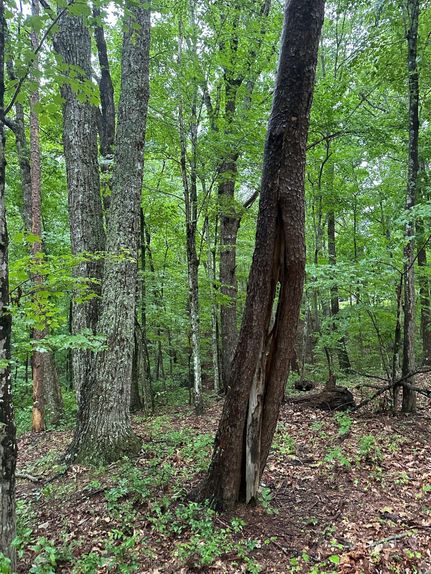 Ranch Property for sale in Grundy County, Tennessee