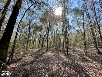 Residential Property in Mobile County, Alabama