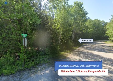Ranch Property for sale in Presque Isle County, Michigan