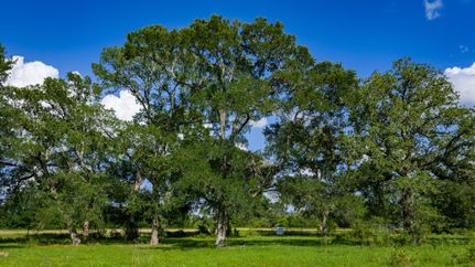 Property for sale in Bastrop County, Texas