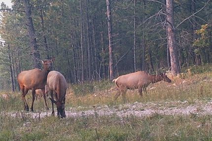 Property for sale in Crook County, Wyoming