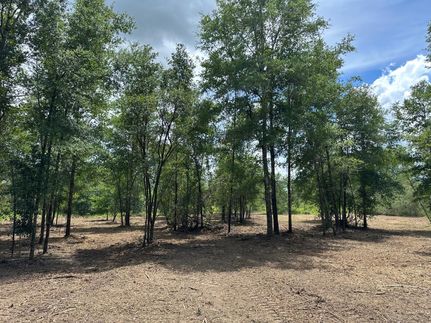 Recreational Property for sale in Mobile County, Alabama