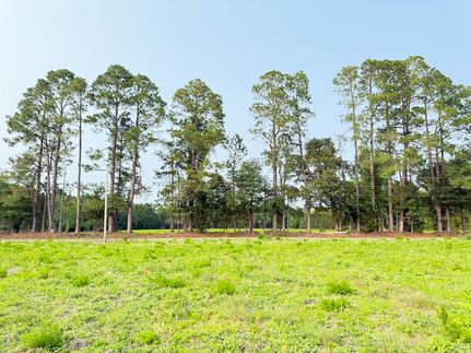 Farm Property for sale in Marlboro County, South Carolina