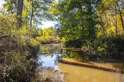 Farm Property for sale in Pike County, Mississippi