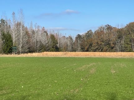Commercial Property for sale in Dallas County, Alabama