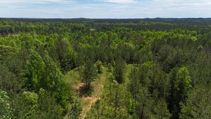 Recreational Property for sale in Cleburne County, Alabama