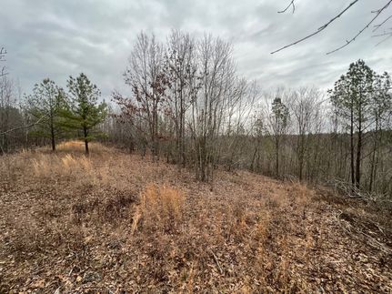 Ranch Property for sale in Lauderdale County, Alabama