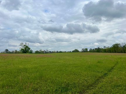 Farm Property for sale in Crenshaw County, Alabama