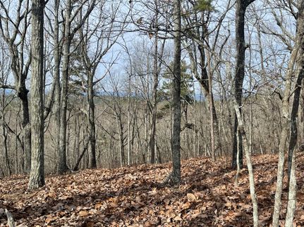 Recreational Property for sale in Cleburne County, Alabama