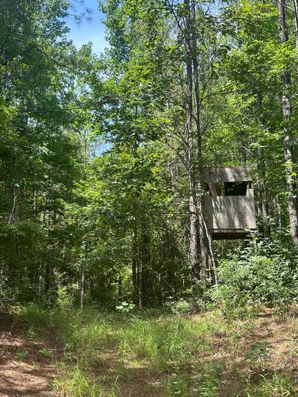 Farm Property for sale in Pickens County, Alabama