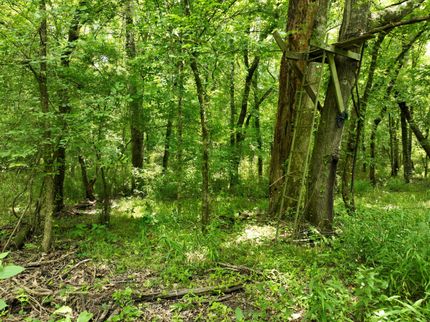 Property for sale in Clark County, Arkansas