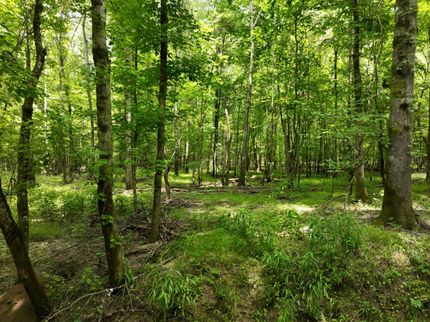 Property for sale in Clark County, Arkansas