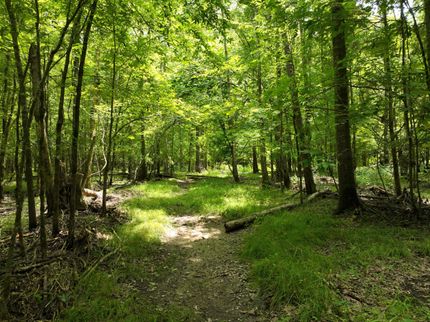 Property for sale in Clark County, Arkansas