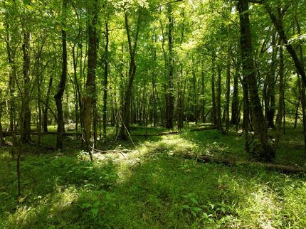 Ranch Property for sale in Clark County, Arkansas