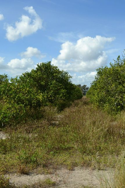 Farm Property for sale in Polk County, Florida