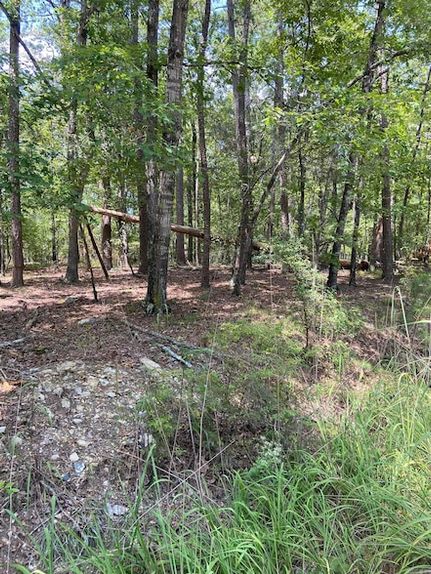 Property in Saline County, Arkansas