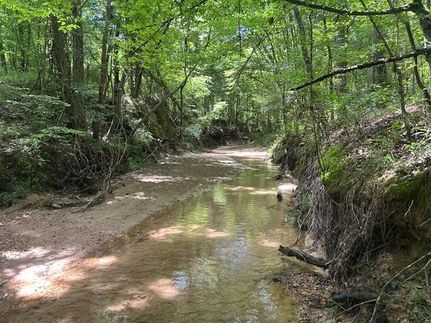Recreational Property for sale in Franklin County, Mississippi
