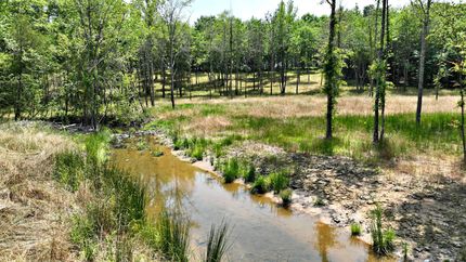 Ranch Property for sale in Polk County, Arkansas