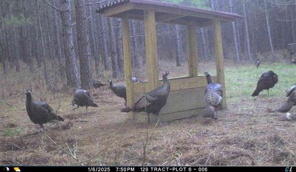 Farm Property for sale in Jones County, Georgia