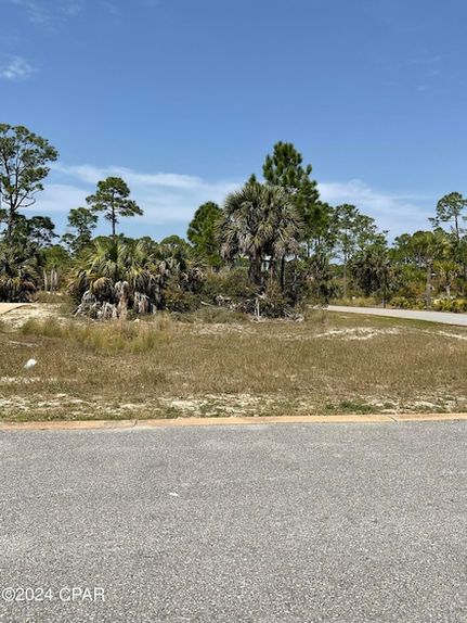 Ranch Property for sale in Gulf County, Florida